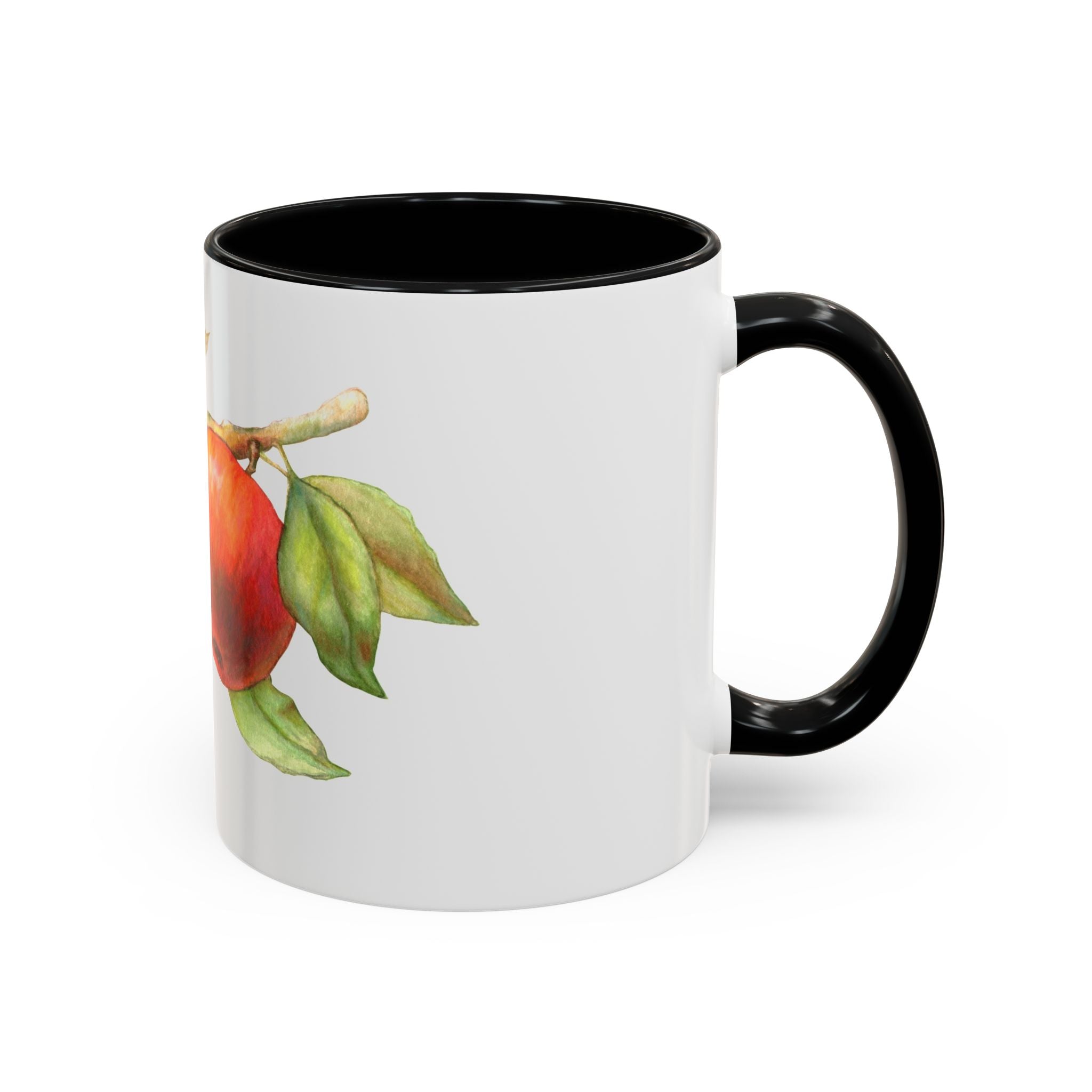 Apple Branch Accent Coffee Mug — Watercolor Fruit Kitchen Mug (11/15oz)