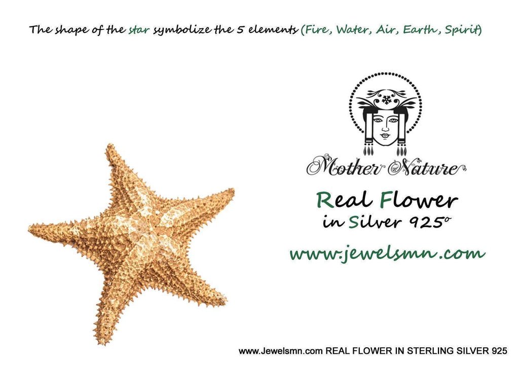 Tiny Real Starfish Necklace - Minimalist Eco-Friendly Jewelry