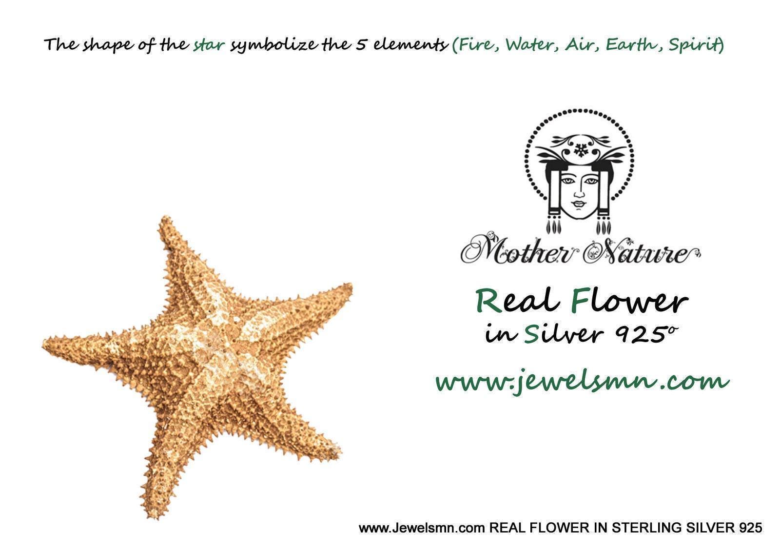 Tiny Real Starfish Necklace - Minimalist Eco-Friendly Jewelry