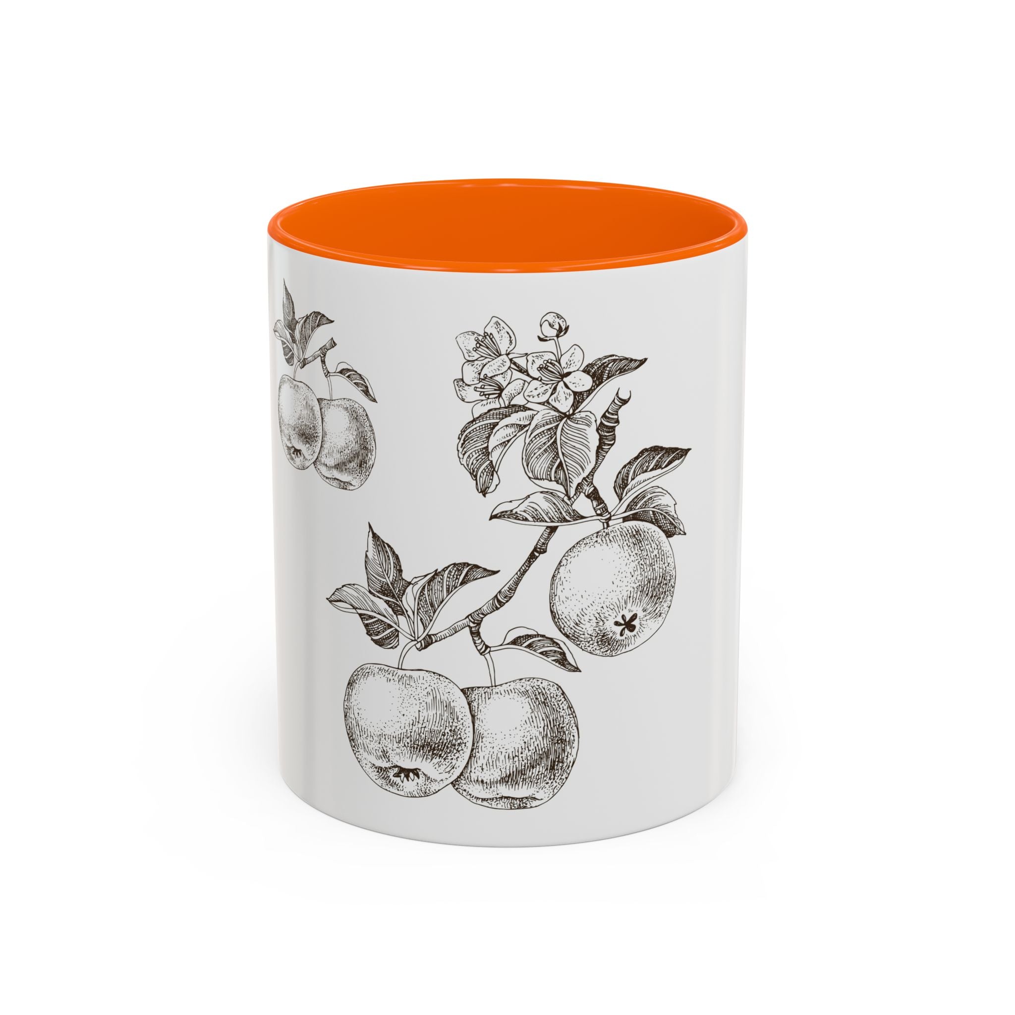 Botanical Apple Accent Coffee Mug — Vintage Fruit Sketch Ceramic Mug (11/15 oz)