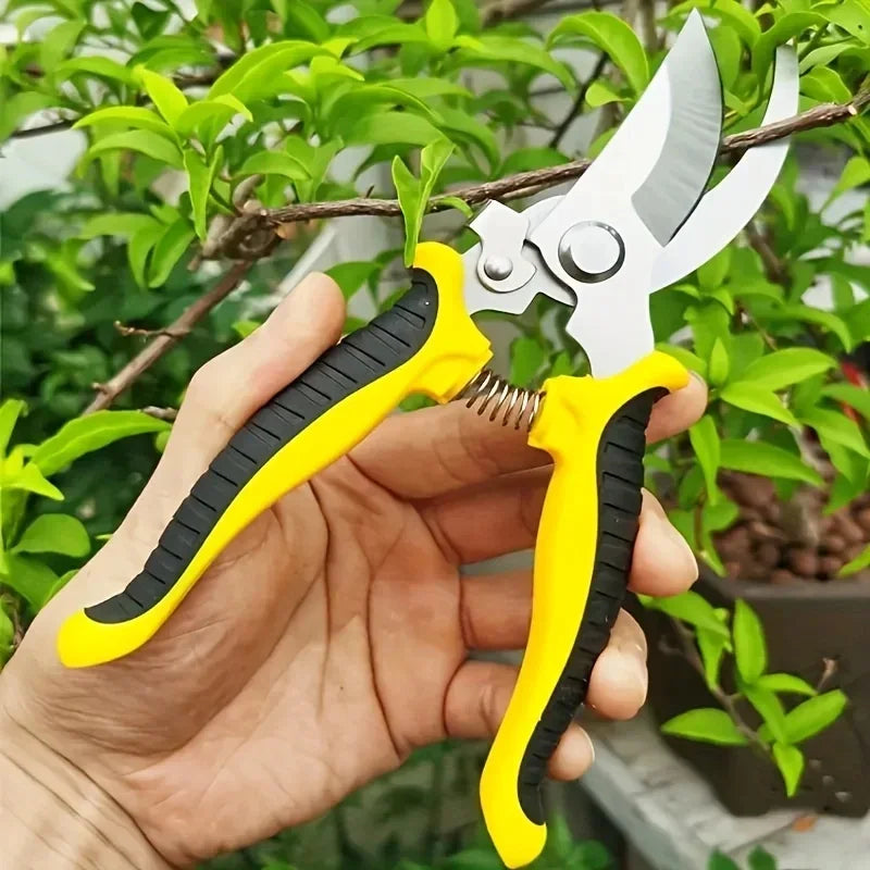Stainless Steel Professional Gardening Shears Pruning branches Fruit