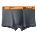 5Pcs Mens Underwear Male Boxers Sexy Underpants Comfortable Breathable