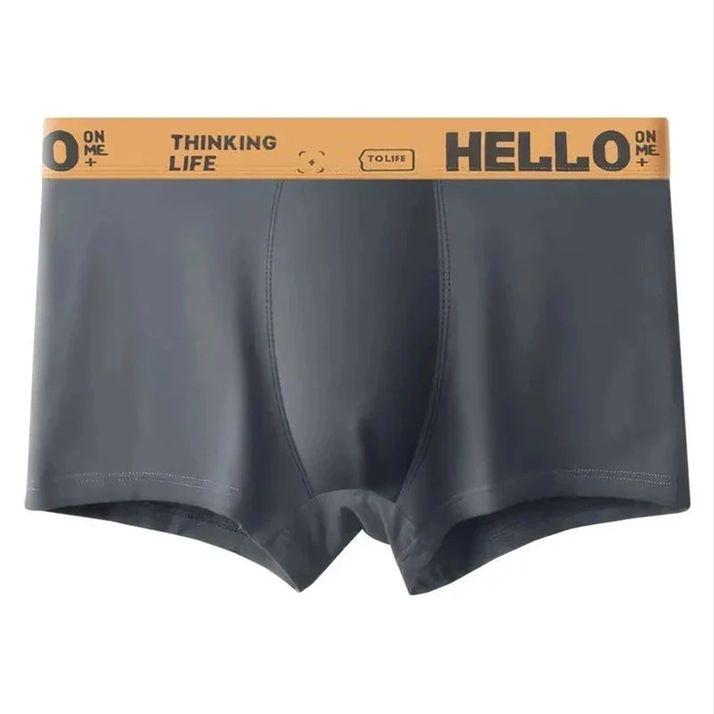 5Pcs Mens Underwear Male Boxers Sexy Underpants Comfortable Breathable