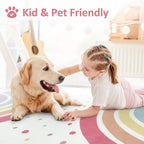 Washable Rainbow Rug for Girl Nursery, Small Rug 3X 5 Colorful Area